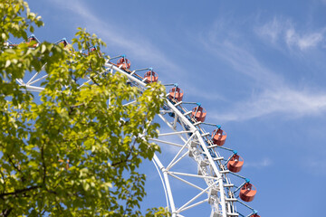 木の葉と遊園地のアミューズメント