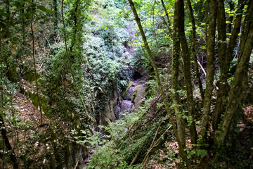 Piccolo ruscello lungo il percorso 274 nelle Marche in estate 