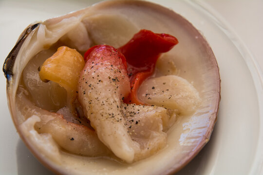 Seafood. Marisco. Concha Fina.