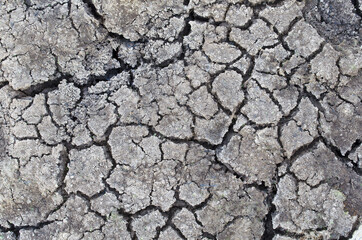 Dry ground floor surface due to lack of water and rain for long time, for climate change or environment concept
