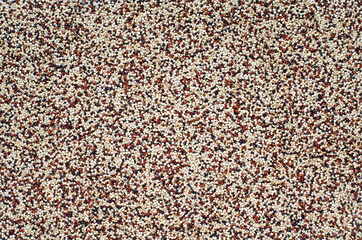 Group of dry organic three color quinoa seed background for healthy or diet food ingredient concept