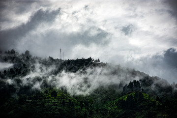 Fototapeta na wymiar Landscape with mountains and fog