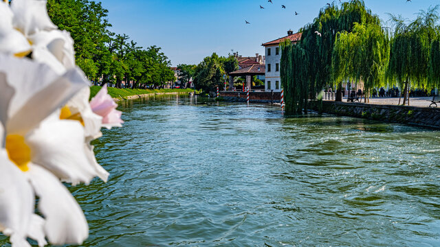 water canal, houses, flowers, trees in Dolo, Venice. Italy