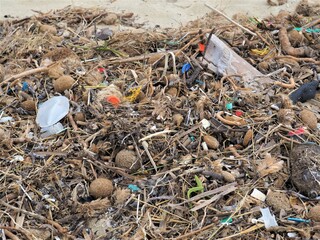 a beach with a lot of plastic waste