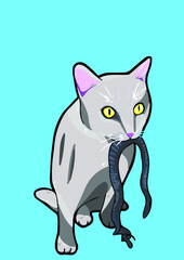 cat with background ()
by cat say meow