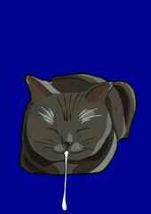 cat with background ()
by cat say meow