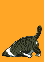 cat with background ()
by cat say meow