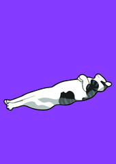 cat with background ()
by cat say meow