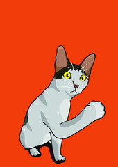 cat with background ()
by cat say meow