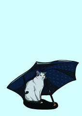 cat with background ()
by cat say meow