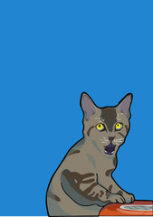 cat with background ()
by cat say meow