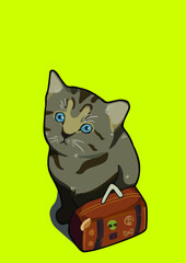 cat with background ()
by cat say meow