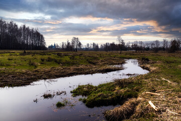 Przedwiośnie w Dolinie Narwi, Podlasie, Polska