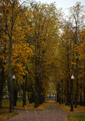 Snow in a park during deep autumn in Minsk city, Belarus