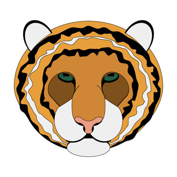 Tiger head on white background
