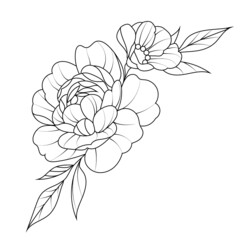 two flowers with leaves in black and white
