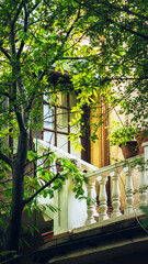 Obraz premium The plant house
