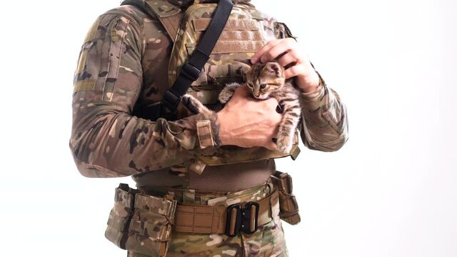 Soldier holds a small kitten 