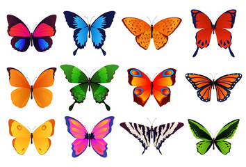 Set of colored, beautiful butterflies. Vector illustration