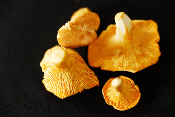 Pfifferlinge, Chanterelle Mushrooms on a table