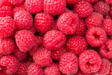 raspberry texture. raspberries background. fruit background. healthy background. flat lay. top view
