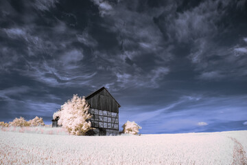 infrared photography - surreal ir photo of landscape with trees under cloudy sky - the art of our...