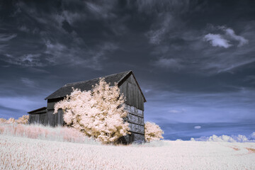 infrared photography - surreal ir photo of landscape with trees under cloudy sky - the art of our...