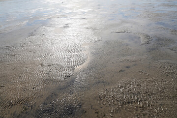 The Wadden Sea National Park near the Peninsula Nordstrand in Germany, Europe