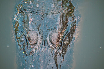 water drops on the water