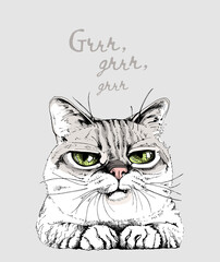 Portrait of the funny cat. Humor card, t-shirt composition, meme, hand drawn style print. Vector illustration.