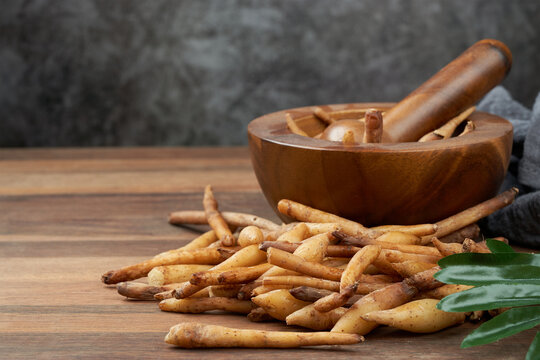 Fresh Finger root or Kaempfer (kachai) Thai herb on wooden table and mortar with pestle on the background. copy space               