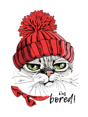 Portrait of the funny Grumpy cat in the red Knitted hat with pompom. Humor card, t-shirt composition, hand drawn style print. Vector illustration.