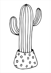 doodle illustration cactus black on white beautiful succulent line art icon