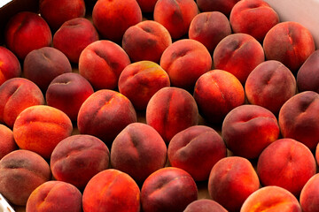 The harvest of a beautiful fragrant ripe peaches, the view from the top.