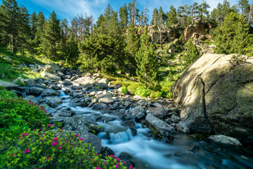 Paisaje Pirineos

