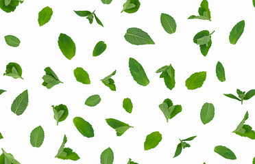 Fototapeta na wymiar Fresh green mint leaves on white background isolated, seamless pattern