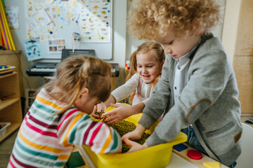 Preschool students playing with raw mung beans in kindergarten