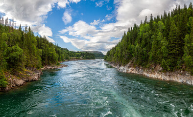 Frontal panorama of a wide river among the taiga forest on steep banks under blue skies in Norway in the summer.