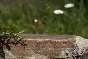 Stone podium display. A natural rock pedestal with a natural green background. High quality photo