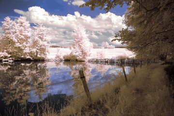infrared photography - surreal ir photo of landscape with trees under cloudy sky - the art of our...