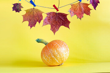 Pumpkin and autumn leaves on yellow background.