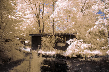 infrared photography - surreal ir photo of landscape with trees under cloudy sky - the art of our world and plants in the invisible infrared camera spectrum