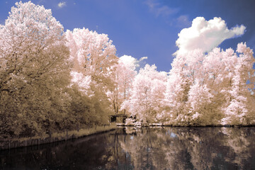 infrared photography - surreal ir photo of landscape with trees under cloudy sky - the art of our...