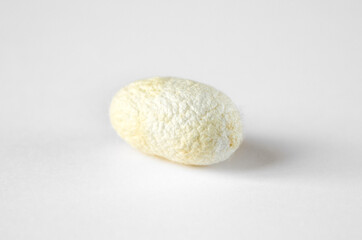 Silkworm cocoon on a white background