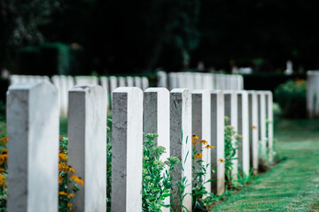 British soldiers' cemetery from WWII in Poland - obrazy, fototapety, plakaty