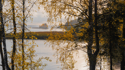 Obraz premium View of the lake shore in autumn. High quality photo