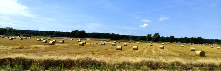 Panorama obszaru wiejskiego. © WalDec