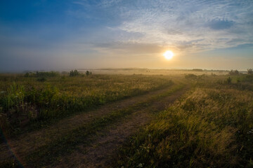 bright blue sky at dawn and a country road leading into the field