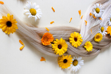 Chamomile and calendula flowers in blond hair.