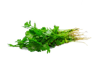 parsley isolated on white